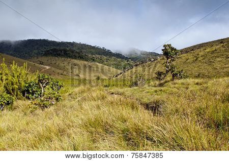 Horton Plains National Park. Sri Lanka