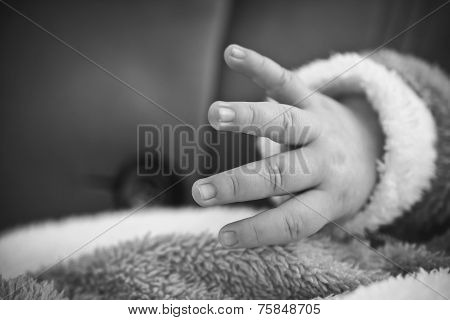 Newborn baby hand