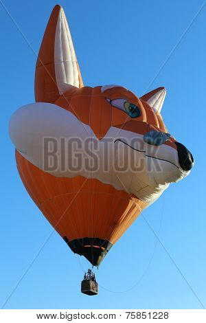 Exibitions of hot air balloons