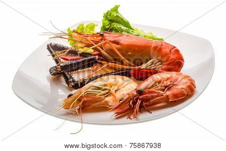 Giant Freshwater Prawn And King Prawns