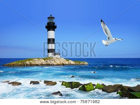 Lighthouse On Rocks, Sea  Coast, Flying Seagull