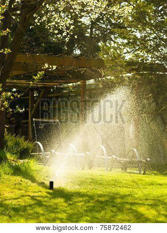 Gardening. Lawn Sprinkler Spraying Water Over Grass.