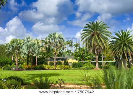 Fairchild tropiske botaniske have
