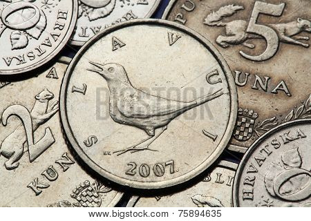 Coins of Croatia. Nightingale (Luscinia megarhynchos) depicted in the Croatian one kuna coin.