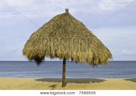 해변에 초가 Palapa 팜