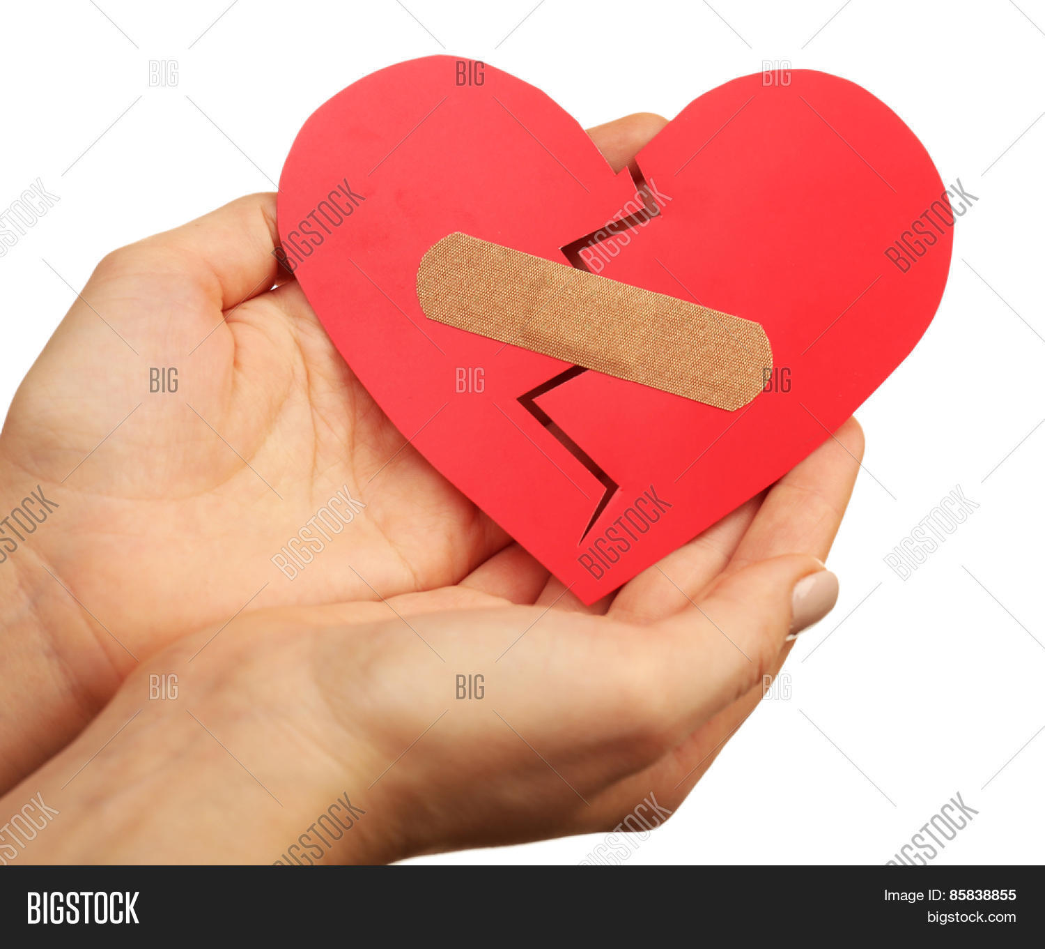 Female Hands Holding Image & Photo (Free Trial) | Bigstock