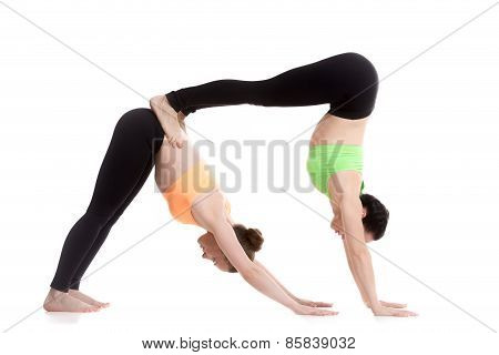 Acroyoga, Downward-facing Dog Yoga Pose