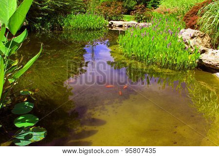 Pickerelweed and other water plants surround a small pond