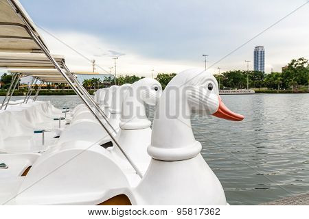 Paddle Boat