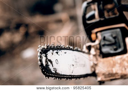 Man Sawing A Log In His Back Yard