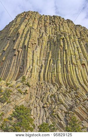 Columnar Jointing On A Volcanic Remnant