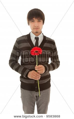 Mand med Gerbera