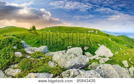 Trees On Hillside Among Huge Boulders At Sunrise