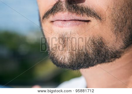 Men's short beard and lips close up