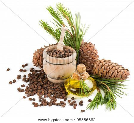 Oil, Nuts And Cones Of Cedar Tree