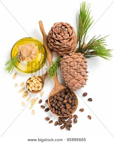 Cedar Pine Nuts And Oil, View From Above