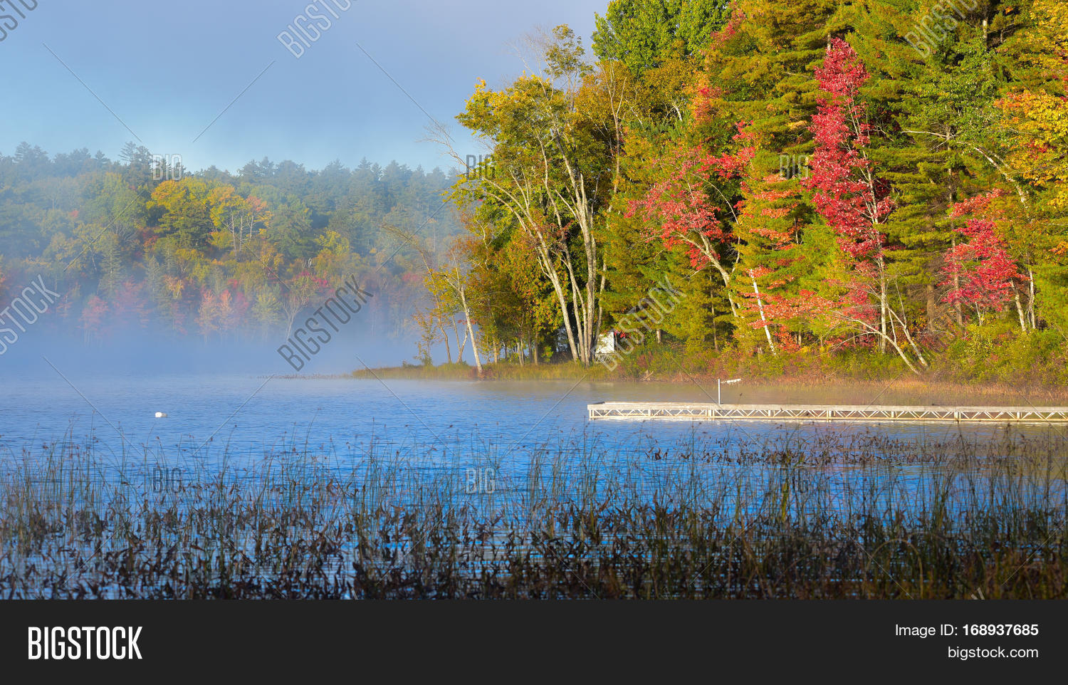 Latesummer, Morning Image & Photo (Free