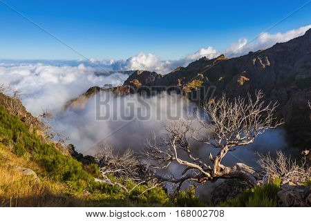 Hiking Pico Ruivo and Pico do Arierio - Madeira Portugal - travel background