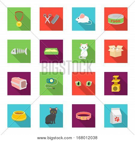 Cat equipment set icons in flat style. Big collection of cat equipment vector symbol stock