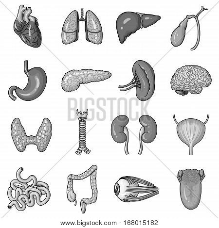 Human organs set icons in monochrome design. Big collection of human organs vector symbol stock illustration