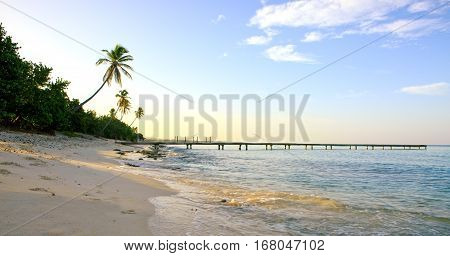 Beautiful caribbean sea and green palmen.Sommer ocean landscape as background.