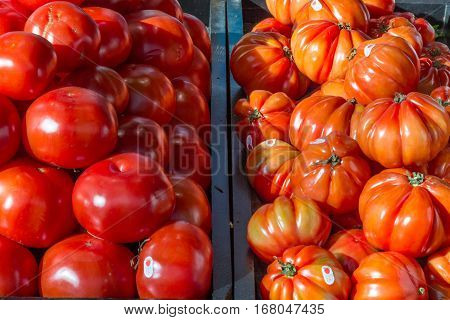 Picture of normal and beefsteak tomatoes on a Canadian market