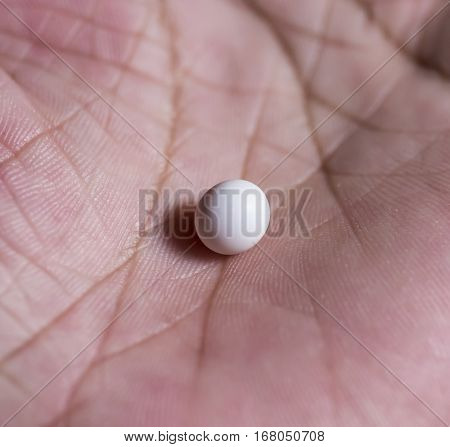The  Eggs Of Lizard House In Humand Hand