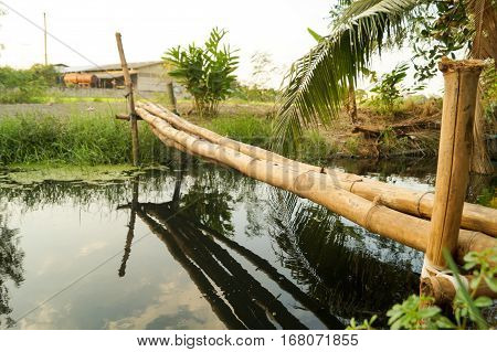 bamboo bridge over the small river. It crossing to the other side.The bridge is made up of simple folk.