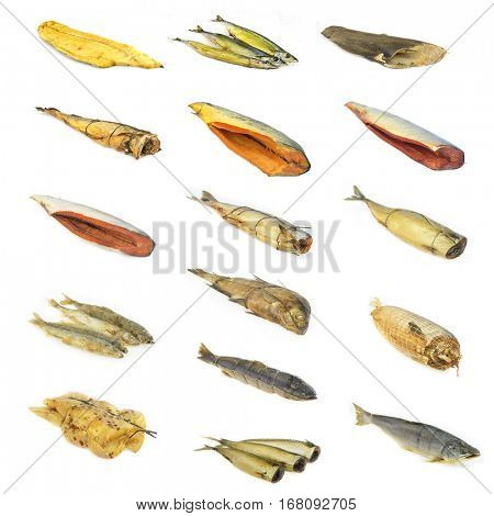 The image of different fishs isolated