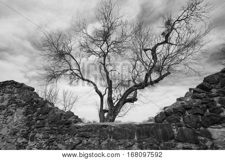 Walls of Mission Espada near San Antonio Texas.