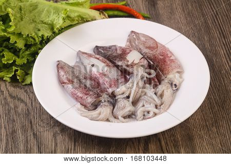 Raw Squid
