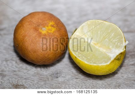 Lemon ripe withered unappetizing. Brown was placed on the wooden floor.