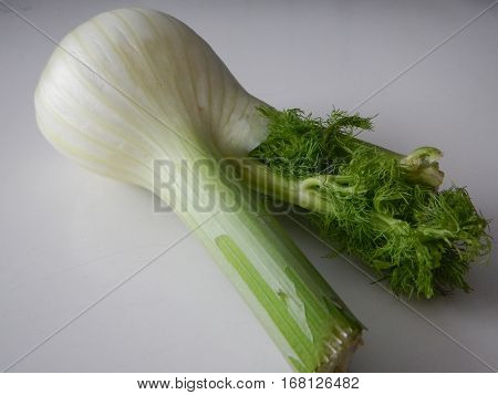 Piece Of Fresh Green Fennel