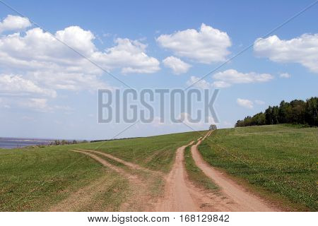 Summer Landscape