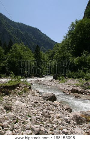 The Mountain River