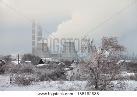 Chp Winter