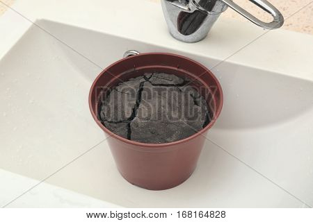 Water shortage concept. Pot with dry ground in white sink
