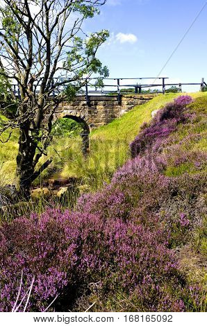 Hamer Bridge, North York Moors
Hamer Moor is high on the North York Moors between Rosedale  and Egton Bridge