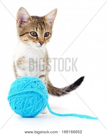 Small funny kitten and clew of thread . Isolated on white background