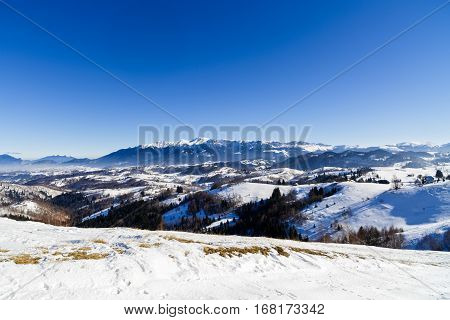 Beautiful Winter Landscape With Bucegi