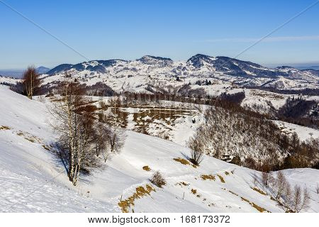 Beautiful Winter Landscape With Bucegi