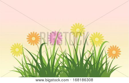 Beauty flower spring background vector flat collection stock