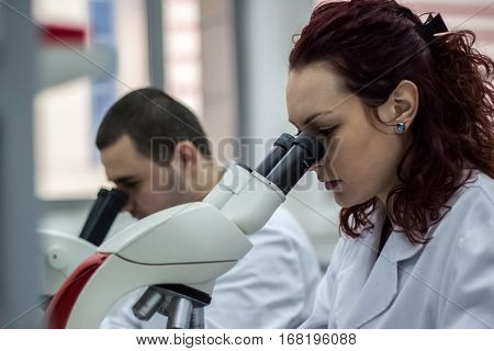 Female And Male Medical Or Scientific Researchers Or Women And Men Doctors Looking Through A Microsc