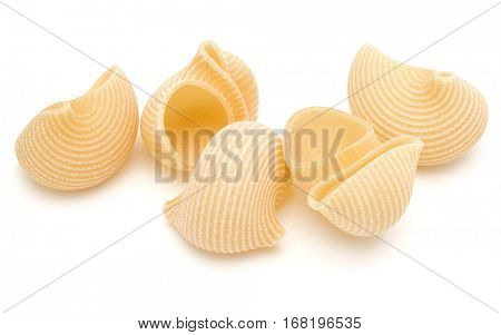 Italian lumaconi isolated on white background. Lumache, snailshell shaped pasta.