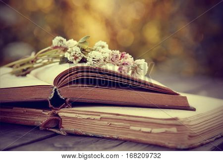 The bouquet of a clover lies on old open books on a wooden table.