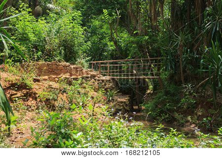 Tropical Garden Jardins Exotiques in Sale, Morocco, Africa