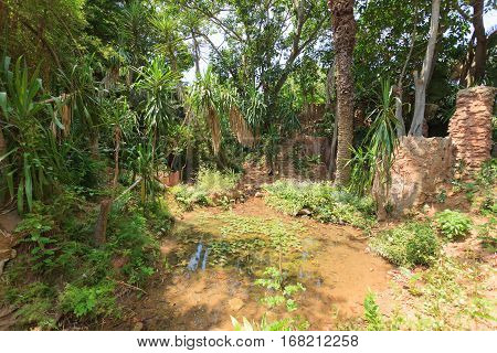 Tropical Garden Jardins Exotiques in Sale, Morocco, Africa