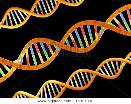 DNA