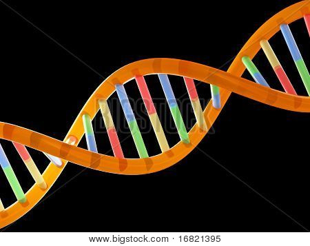 DNA