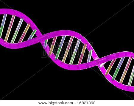 dna